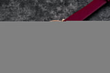 Emporio Armani Gianni T Bar Crystals Maroon Dial Maroon Leather Strap Watch for Women - AR11487