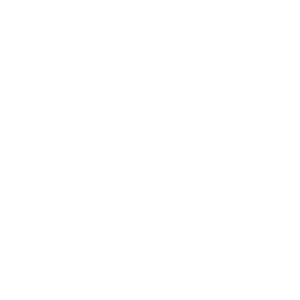 Free Shipping Worldwide